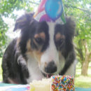 Pesquisar por prateleira cartoes Qualquer pessoa