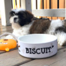 Pesquisar por ícone da cama For pets