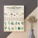 Pesquisar por cogumelos retros Vintage