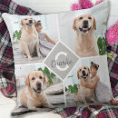 Pesquisar por amigos colares For pets