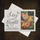 Pesquisar por gato holandês cartoes postais Engraçado