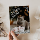 Pesquisar por cats cartoes Pet