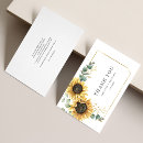 Pesquisar por botanical cartoes Script