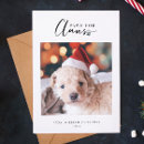 Pesquisar por paws cartoes Com fotos