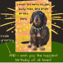 Pesquisar por dachshunds coloridos cartoes Qualquer pessoa