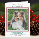 Pesquisar por mundo animal cartoes For him