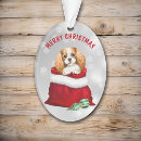 Pesquisar por gif ornamentos Animal