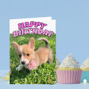 Pesquisar por puppy cartoes Pembroke welsh corgi
