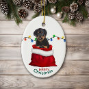 Pesquisar por rottweiler ornamentos Giro