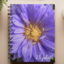 Pesquisar por clematis roxo Fotografia