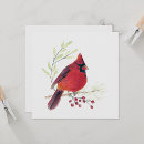 Pesquisar por birds cartoes Aquarela