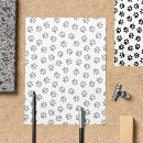 Pesquisar por gatos flyers Treinador de cães