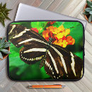 Pesquisar por foto borboleta capas Natureza