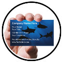 Pesquisar por pesca cartao de visita Charter