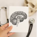 Pesquisar por cérebro humano cartoes postais Médico