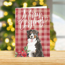 Pesquisar por berçário natal cartoes Cão