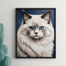Pesquisar por ragdoll artes pôsteres Gato de ragdolé