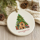Pesquisar por chow ornamentos Natal