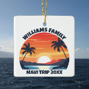 Pesquisar por hawaii ornamentos Palmeiras