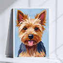Pesquisar por do yorkshire terrier pôsteres Amante de cachorro