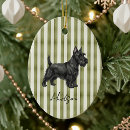 Pesquisar por correia oval Dogs
