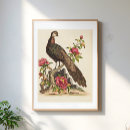 Pesquisar por pavão vintage pósteres pôsteres Flores
