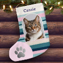 Pesquisar por patas meias de natal Cats