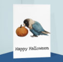 Pesquisar por pumpkin cartoes postais Halloween
