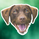 Pesquisar por do cão adesivos For pets