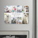Pesquisar por o do para animais imas For pets