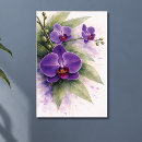 Pesquisar por orquídea roxa pósteres pôsteres Botânico