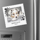 Pesquisar por pata de cachorro imas For pets