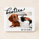 Pesquisar por animals imas For pets