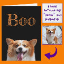 Pesquisar por do corgi cartoes For pets