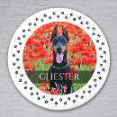 Pesquisar por cão imas De amante de cachorro