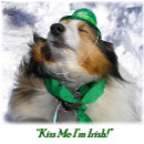 Pesquisar por ireland de cartoes Irish