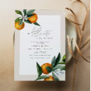 Pesquisar por laranja fruta convites Mother to be