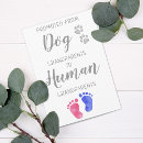 Pesquisar por promovido vovô cartoes postais Gravidez