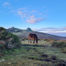 Pesquisar por firma imas Paisagem