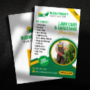 Pesquisar por grama verde flyers Profissional