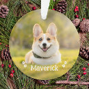 Pesquisar por animais estimação memoriais ornamentos Crie o seu