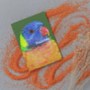 Pesquisar por papagaio colorido cartoes Pássaro