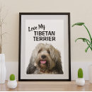 Pesquisar por eu amo cães pósteres pôsteres Cachorros