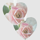 Pesquisar por tulips ornamentos Linda