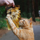 Pesquisar por acrílico pôsteres Natureza