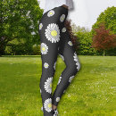 Pesquisar por vulgare do leucanthemum Marguerite