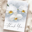 Pesquisar por orquídeas do phalaenopsis Qualquer pessoa