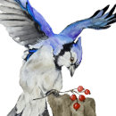 Pesquisar por jay iphone capas Aquarela