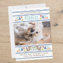 Pesquisar por ao osso cartoes For pets