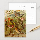 Pesquisar por bird cartoes postais Arte animal